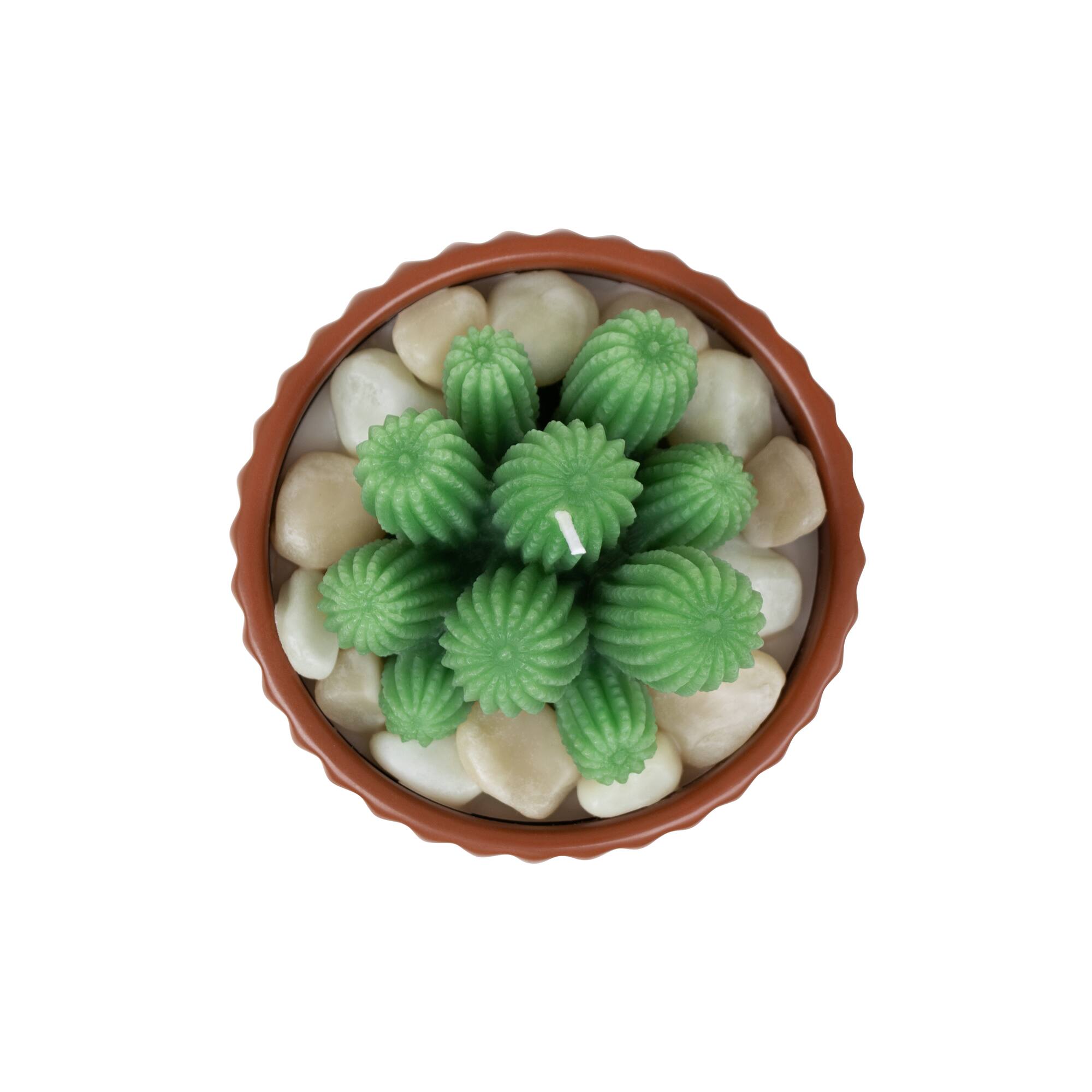 16oz. Brown Potted Succulent Candle by Ashland®